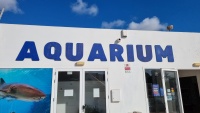 ... gro&szlig;es Aquarium...
